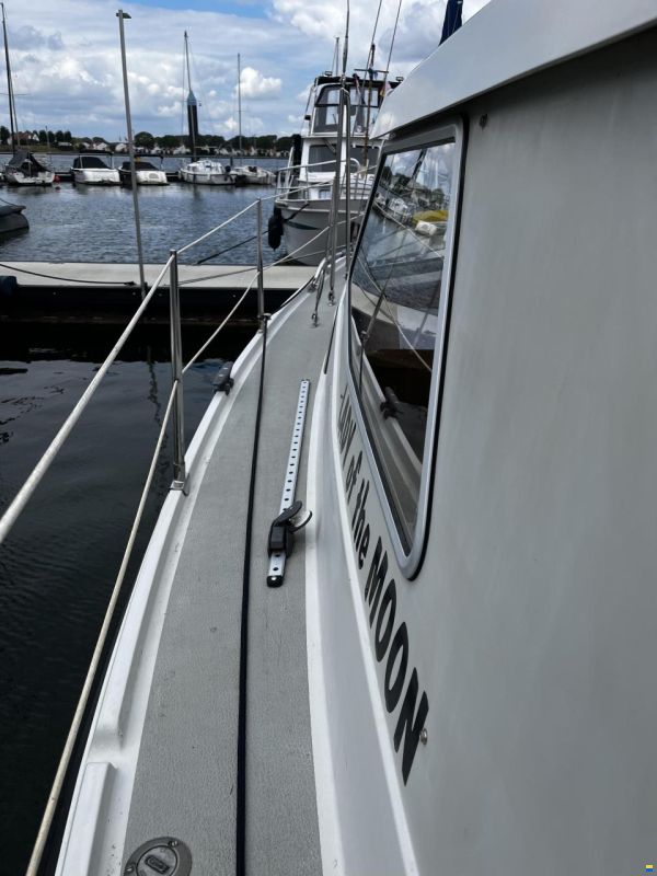LM 30
