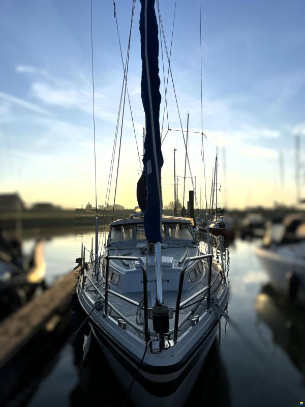 LM 30