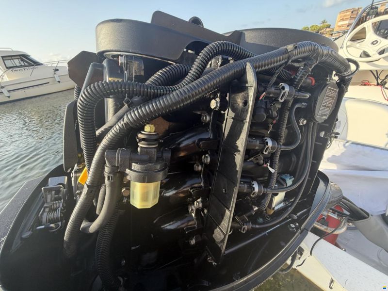 MERCURY 460