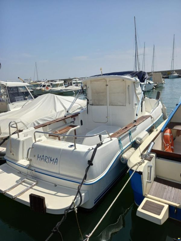Arvor 200