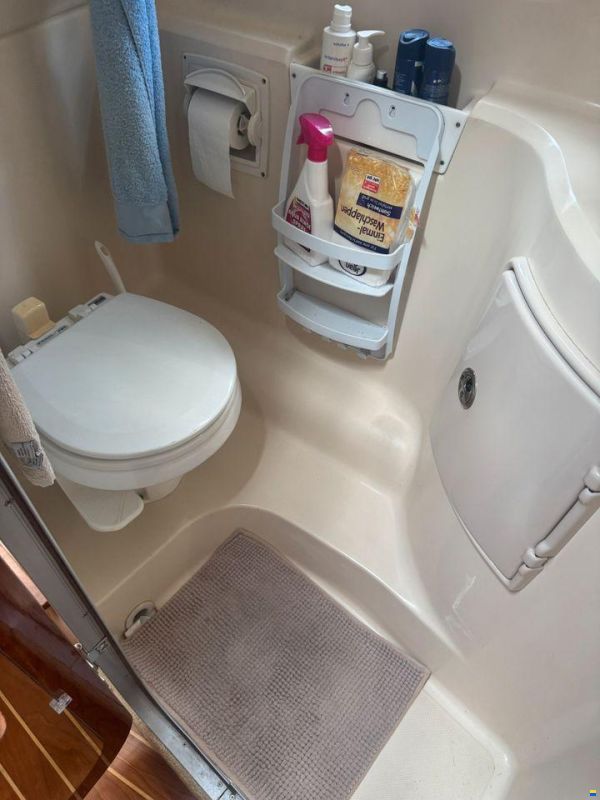 Regal 2565 Window Express