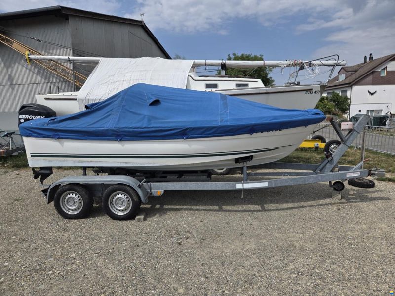 Quicksilver 500 Fish