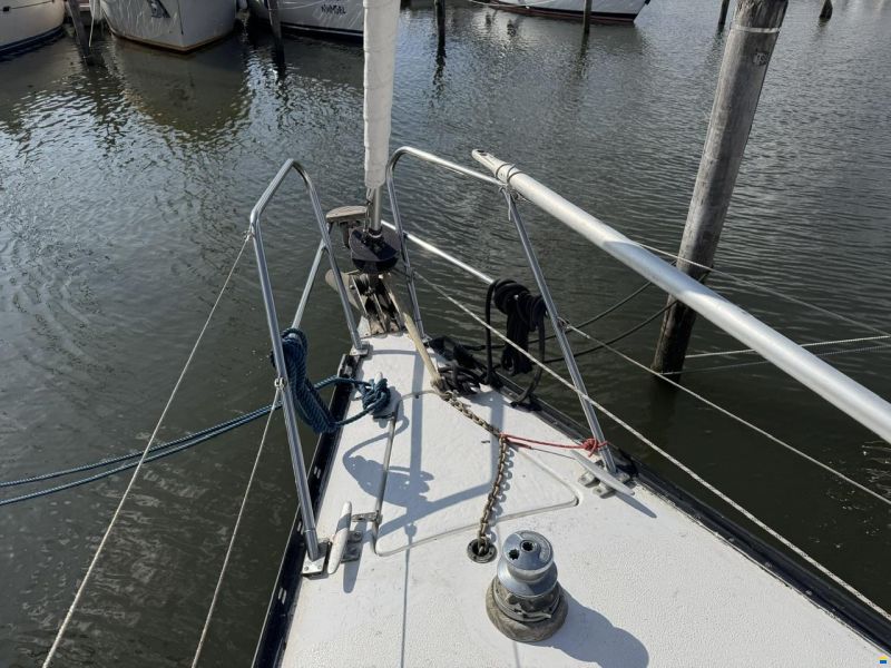 Ann 35