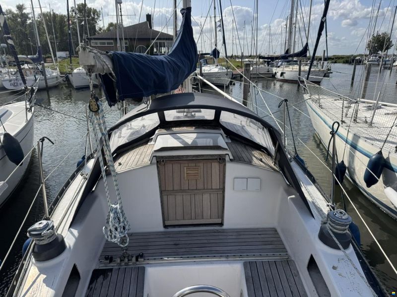Ann 35
