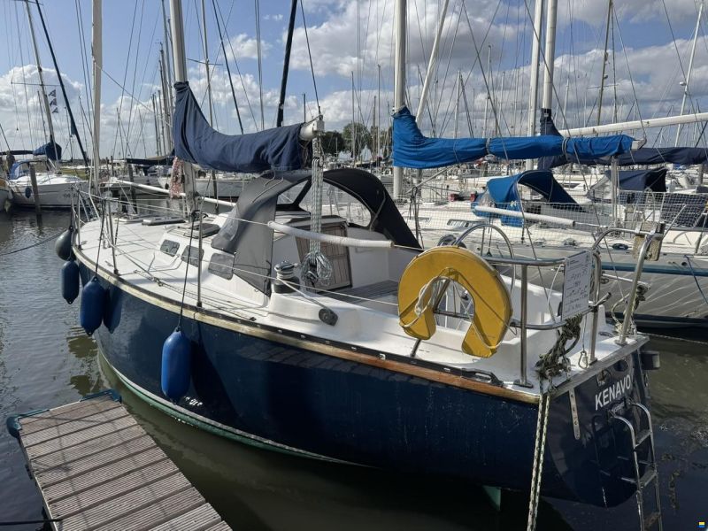 Ann 35
