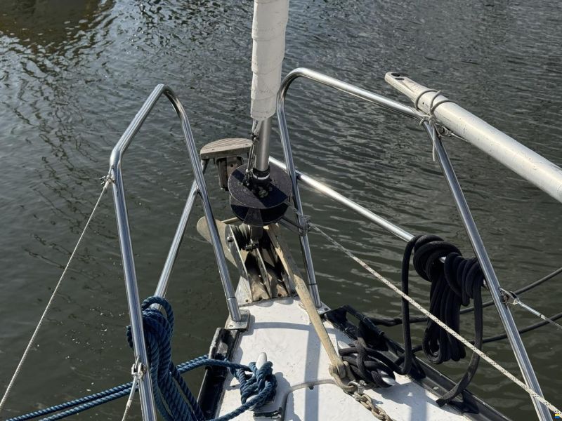 Ann 35
