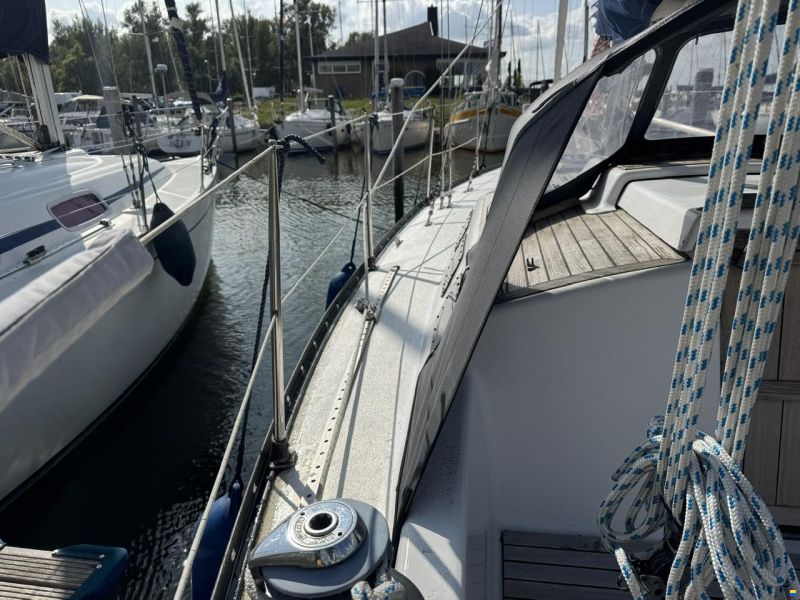 Ann 35