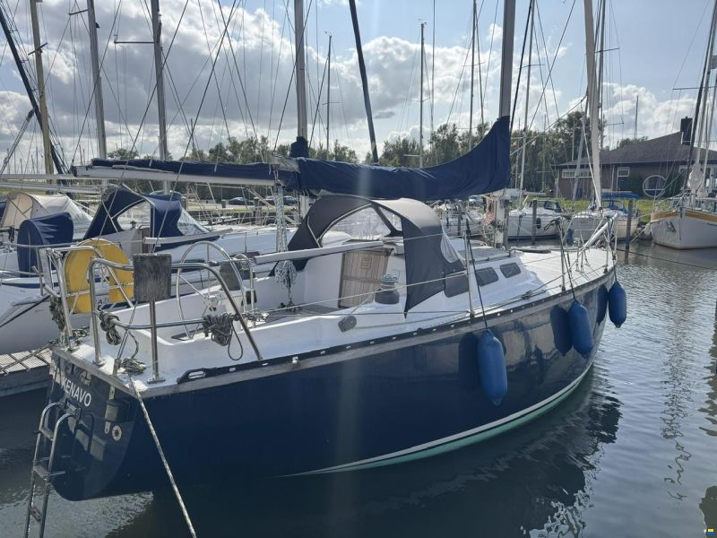 Ann 35