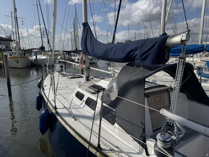 Ann 35