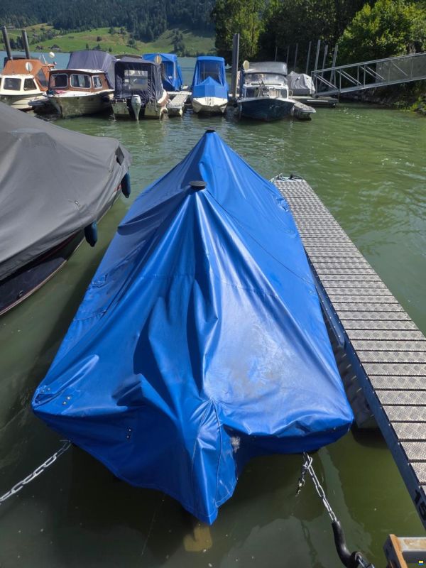 Marine Pro Marine 450 Fish