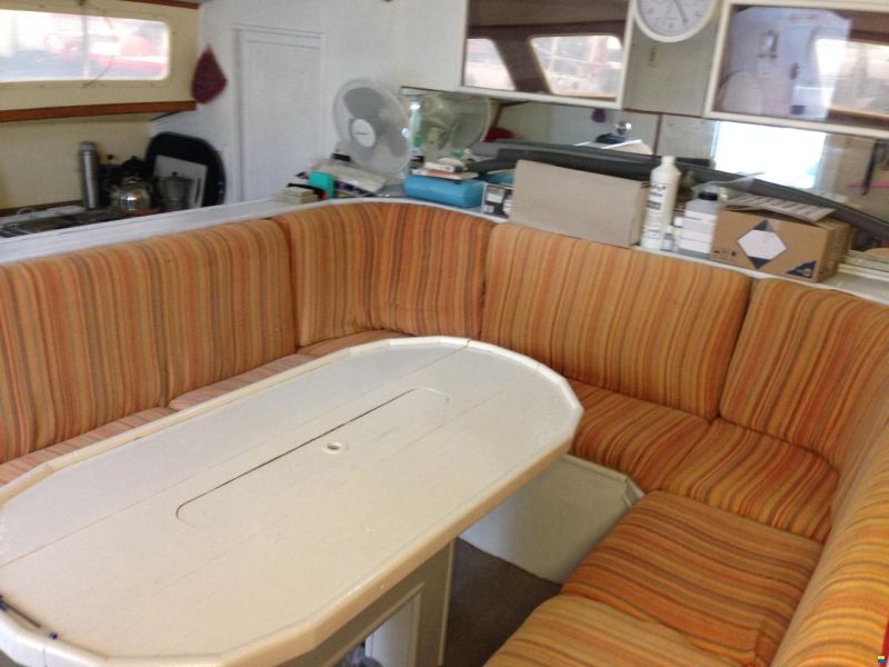 DEAN 365 Oceanliner