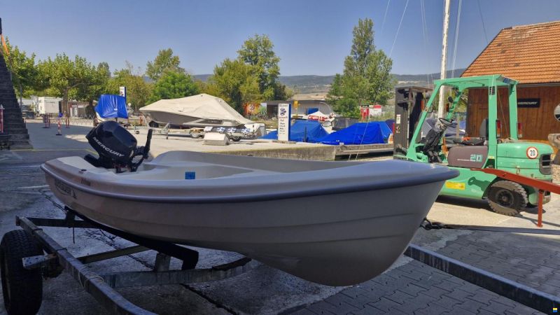 Quicksilver 360 Fish