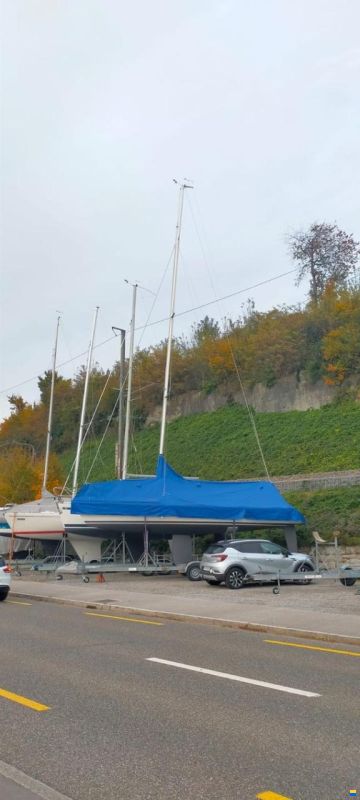 Moser Segelboot MOSER m31