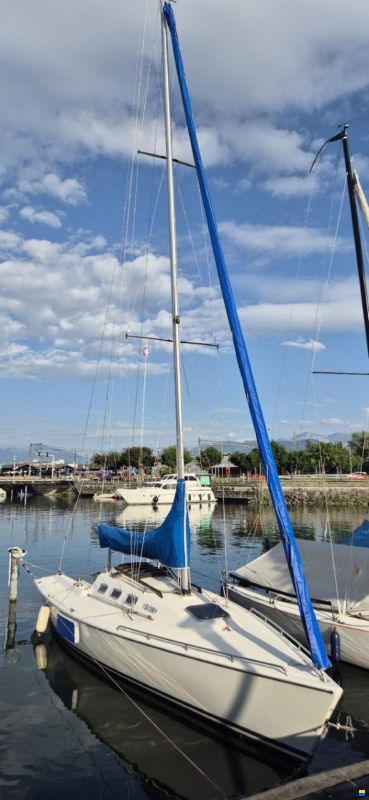 Moser Segelboot MOSER m31