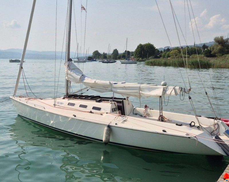 Moser Segelboot MOSER m31