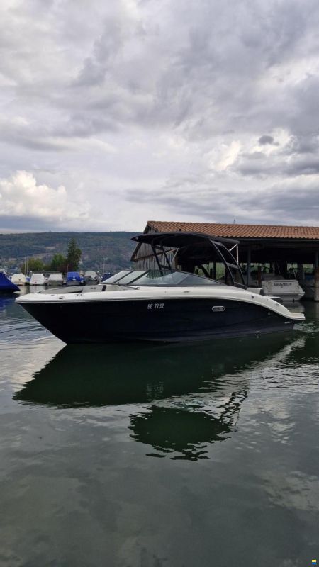 Sea Ray SPX 210