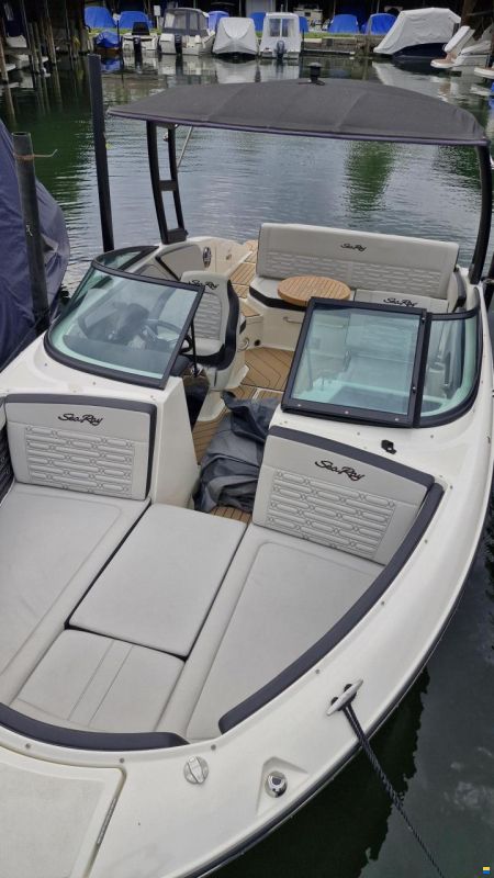 Sea Ray SPX 210