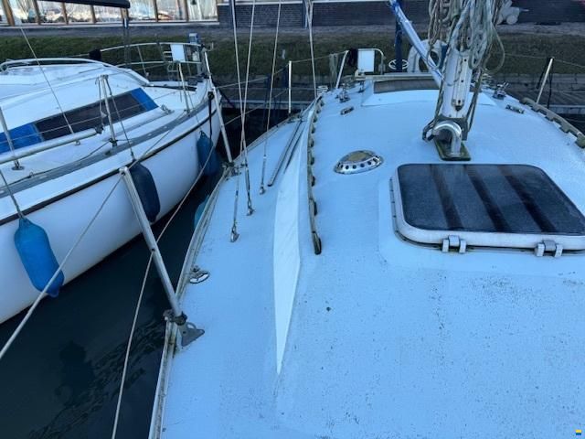 Contessa 28