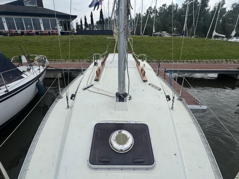 Gib Sea 242