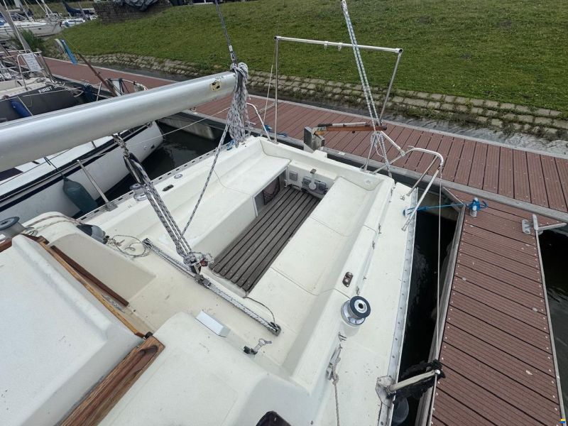 Gib Sea 242