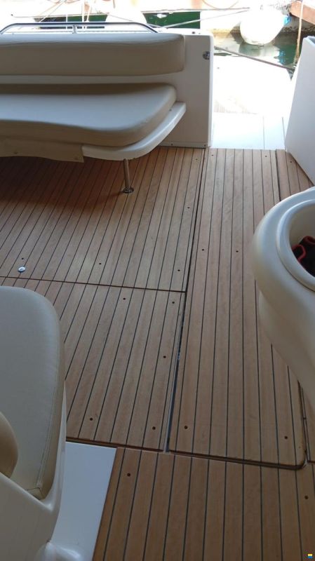 Sea Ray 310