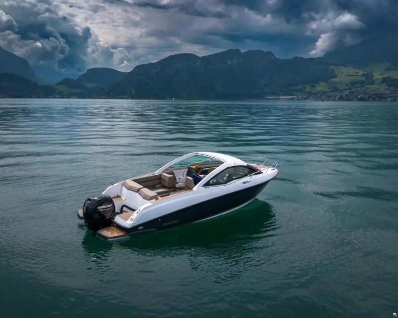 Flipper 650 Sport Top