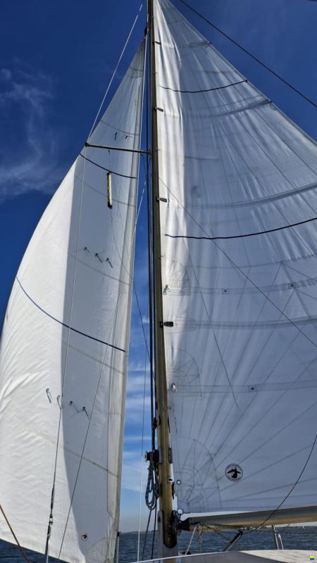 Catalac 8m