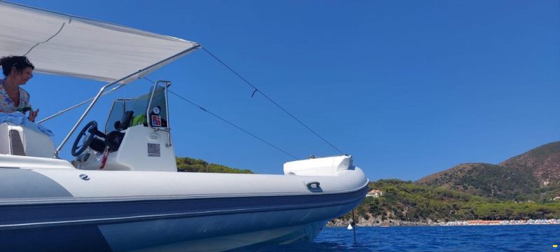 Bat 745