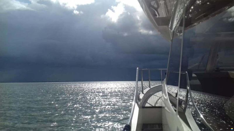 Greenline 33