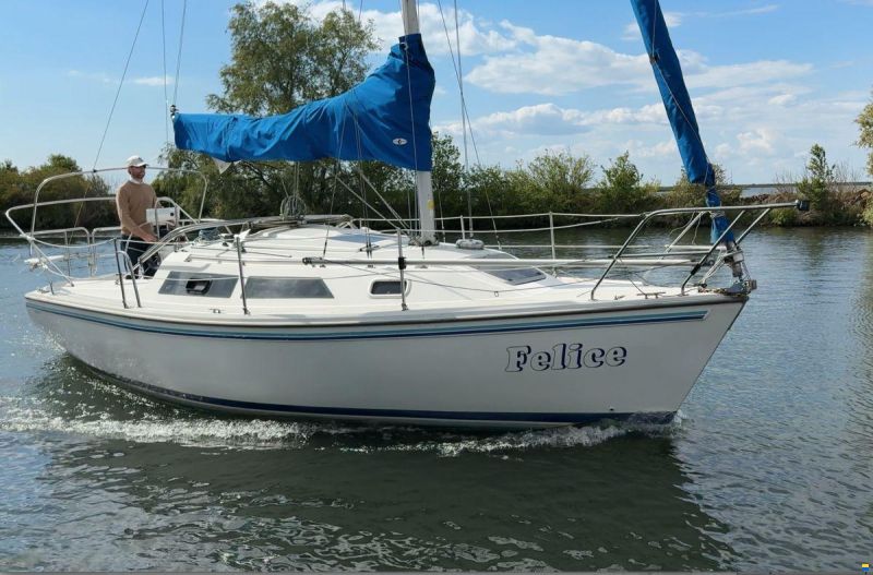 Catalina 270