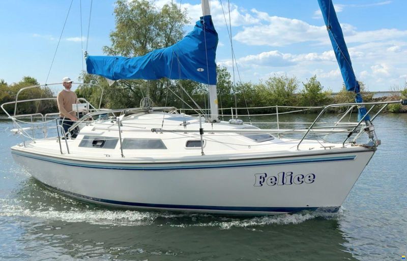 Catalina 270