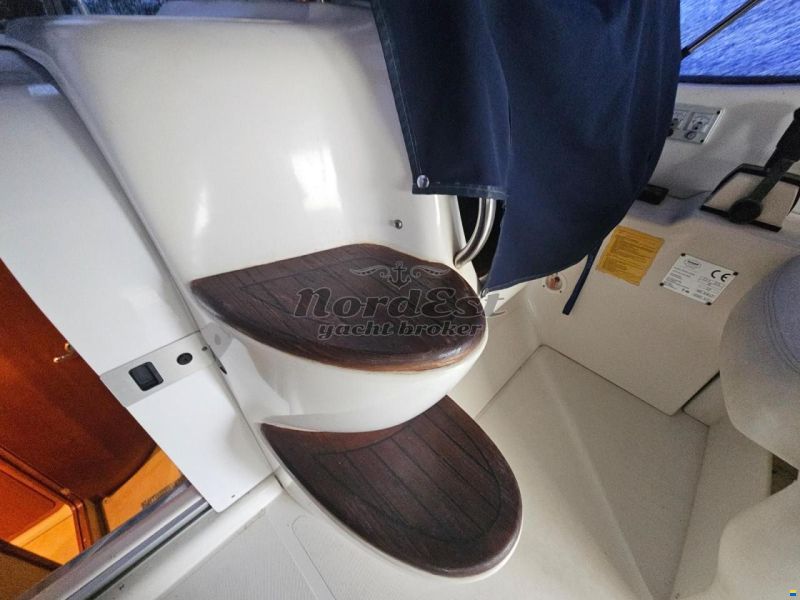 Sessa Oyster 35