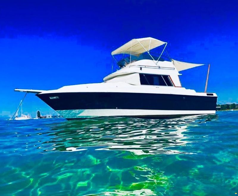 Bayliner 2556 Ciera Command Bridge
