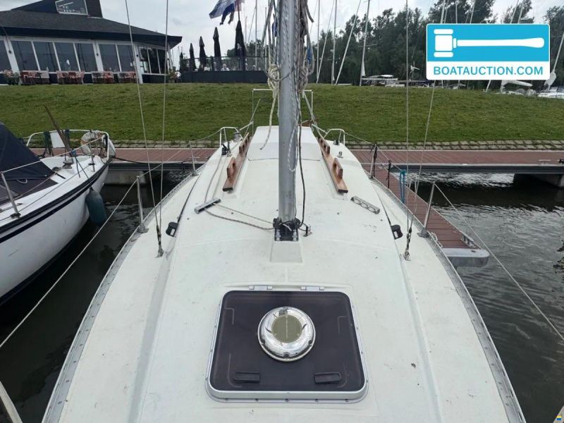 Gib Sea 242