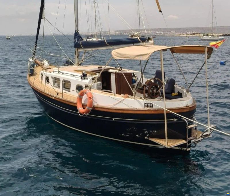 Myabca Delfin 31