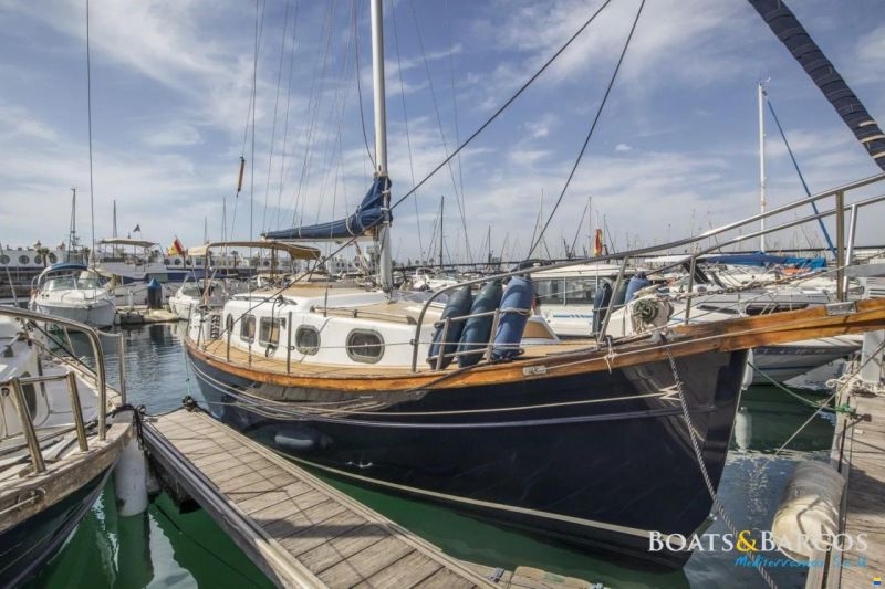 Myabca Delfin 31