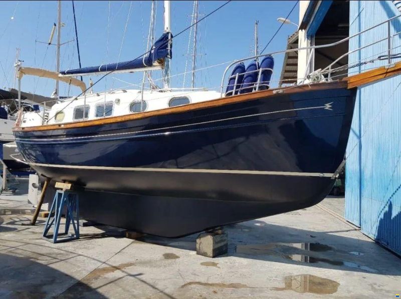 Myabca Delfin 31