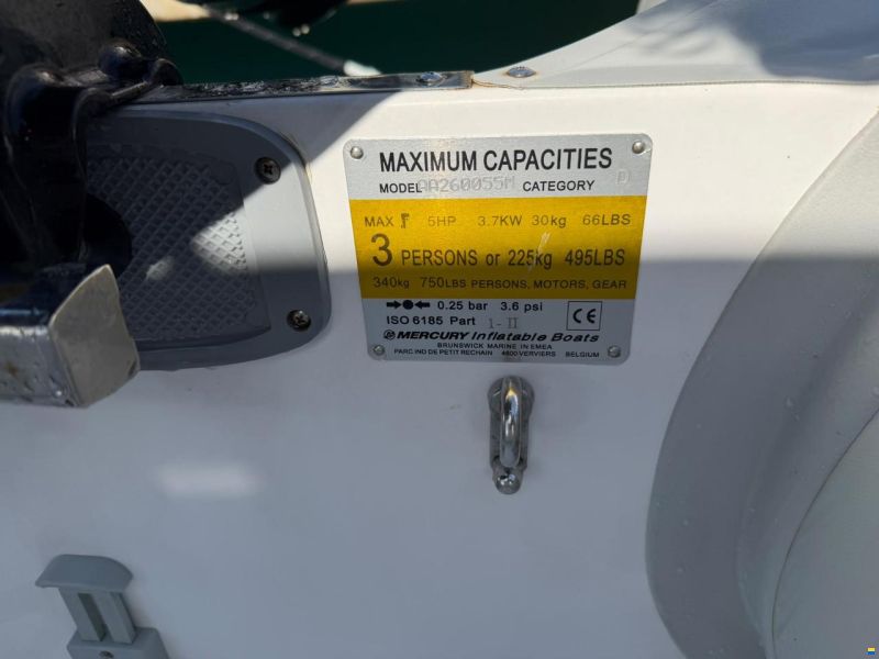 Mercury 260 RIB