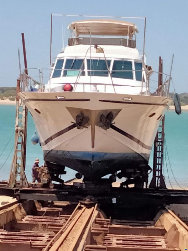 Astondoa del 74