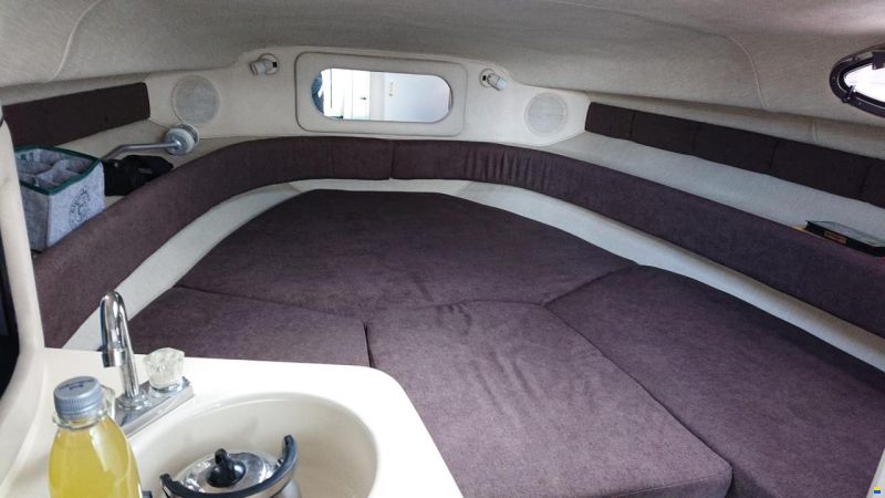 Sea Ray 250 Sundancer