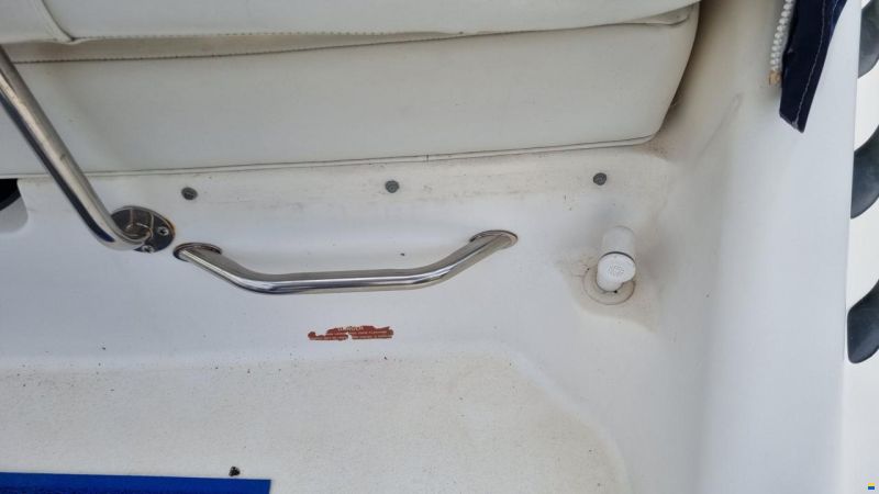 Sea Ray 250 Sundancer