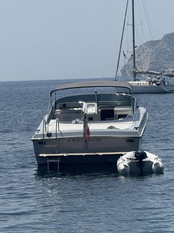 Magnum 40 sport
