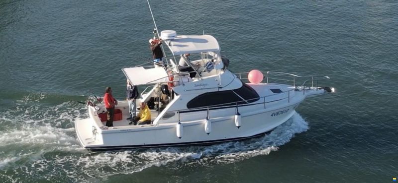 Cayman 30 Sport Fly