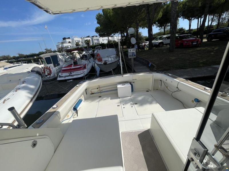 Cayman 30 Sport Fly