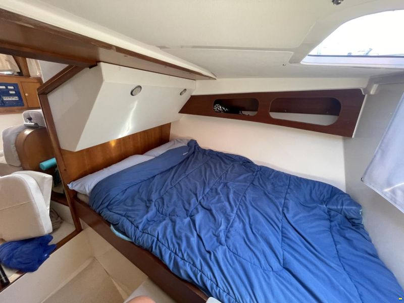 Cayman 30 Sport Fly