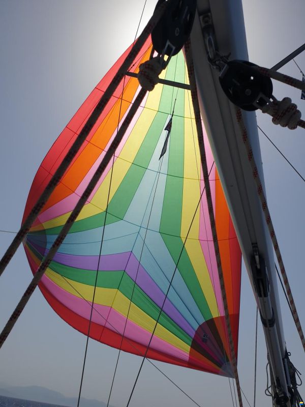 Bavaria Vision 42