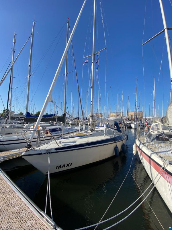 Maxi 84