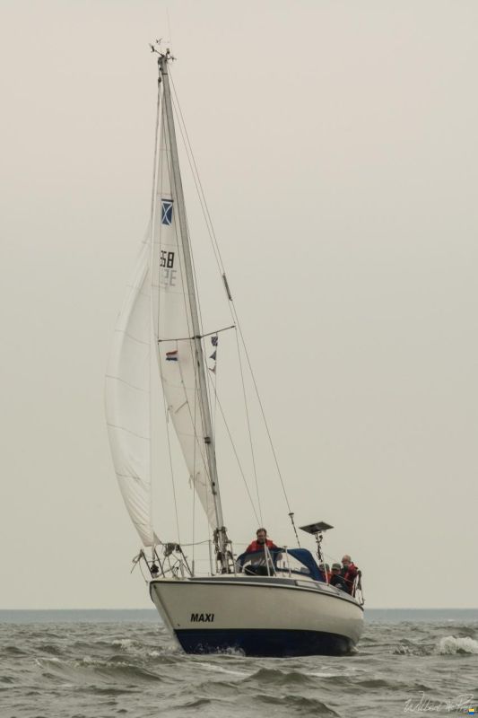 Maxi 84