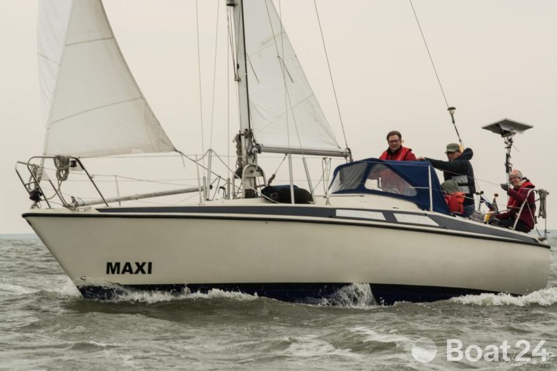 Maxi 84