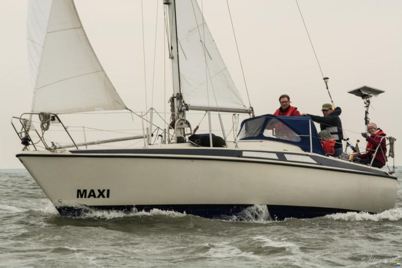 Maxi 84